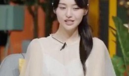 张恒爆料最新录音,揭秘娱乐圈惊天秘密