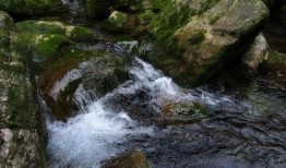 泉水在线观看,探寻自然之美，感受诗意流淌