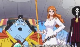 路飞四档爆料视频大全下载,揭秘超凡实力的秘密与幕后故事