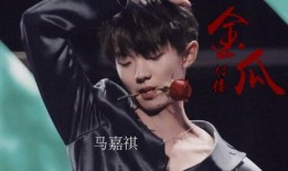 马哥爆料严浩翔视频播放,揭秘幕后故事