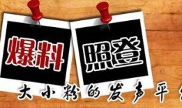 最新时政爆料,揭秘最新政策动向与影响