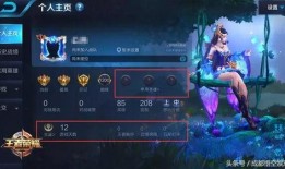 王者圈内爆料怎么看的,游戏内幕大起底