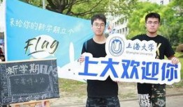 大学一年级在线观看,大一新生在线学习新体验