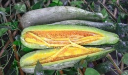 徐州丰县网红吃瓜,揭秘背后真相与网络舆论风暴