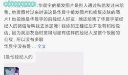 吃瓜系统娱乐圈后续,吃瓜系统后续揭秘