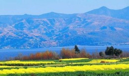 凯凯最新爆料云南,云南风光背后的故事与传奇