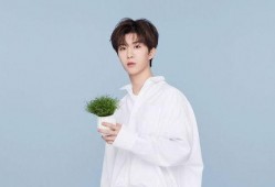 魏大勋爆料范丞丞视频播放,魏大勋曝范丞丞视频播放幕后故事