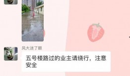 吉林社区爆料新闻最新版,聚焦民生热点，揭示社区动态