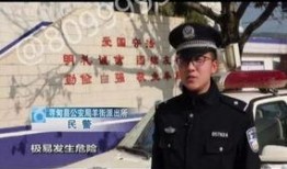 糊涂警察在线观看,笑料百出，在线观看欢乐无限