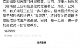柳州某局长爆料视频,揭秘背后真相