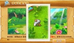 qq免费吃瓜秘密花园,探索秘密花园的神秘魅力