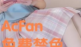 禁色高清在线观看,揭秘禁片背后的故事与魅力