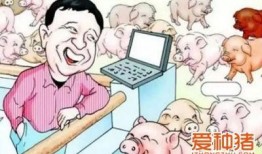 养猪导演爆料视频播放,视频播放背后的惊人真相