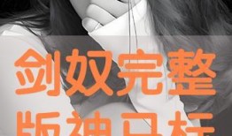 剑奴完整版在线观看,在线观看，揭秘江湖传奇的巅峰对决