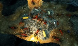 地下蚁国最新版本爆料,揭秘最新版本中的神秘蚁国世界