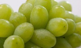 网红提子最新爆料新闻,揭秘娱乐圈惊人内幕