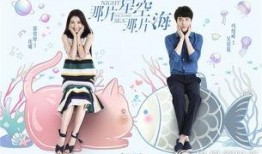 那片星空那片海在线观看,浪漫星空下的爱情传奇