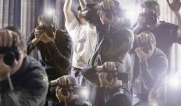 赤犬最新爆料视频大全,揭秘热点事件背后的真相