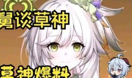 原神爆料的4分钟视频,4分钟视频揭秘神秘元素与冒险之旅