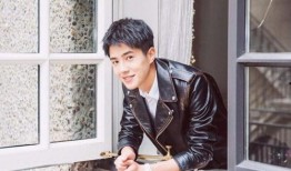 娱乐圈爆料刘昊然是谁,娱乐圈爆料背后的青春偶像