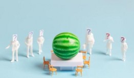 最新娱乐吃瓜汇总,明星秘闻大揭秘，精彩瞬间回顾