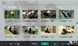 熊猫直播间爆料视频,爆笑爆料视频幕后花絮大公开