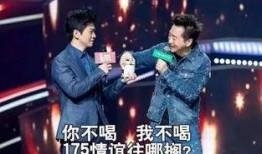 好声音李建爆料视频播放,李建爆料视频播放背后的故事