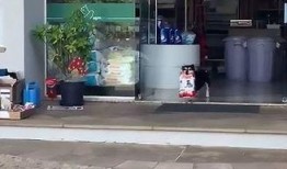 新兴宠物店爆料新闻视频