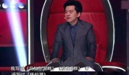 好声音李建爆料视频播放,李建爆料视频播放背后的故事