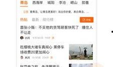 今日青岛爆料新闻,惊现神秘事件引发全城热议