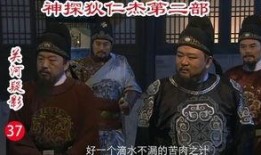 神探狄仁杰2部在线观看,双案迷踪，智慧对决