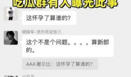 吃瓜vx群免费聊天记录,免费聊天记录背后的精彩瞬间”