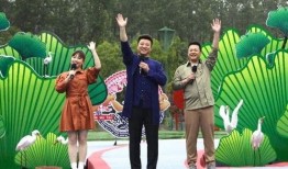 大将星光村爆料视频最新,揭秘神秘村庄的传奇故事与独特魅力