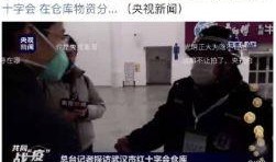 小胖爆料土牛视频在线观看,土牛视频在线观看，带你领略独特魅力