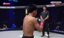 颈爆体育直播在线观看,畅享精彩赛事，尽在指尖一触