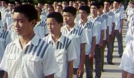 少年犯在线观看,青春迷途，救赎之路