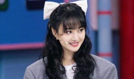 宁静郑爽最新爆料,揭秘娱乐圈不为人知的真相