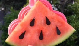 青海网红吃瓜,揭秘高原美食背后的故事