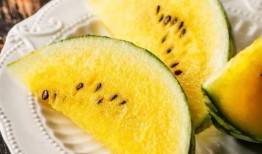 吃瓜学生网红东北,揭秘东北网红背后的故事