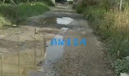 爆料道路颠簸视频,揭秘我国道路现状