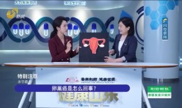 甘孜电视台爆料新闻视频,重大新闻事件深度解析