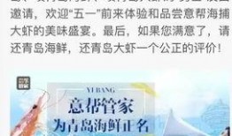 今日青岛爆料新闻,惊现神秘事件引发全城热议