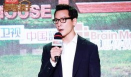 吴彦祖队友爆料视频,揭秘吴彦祖幕后故事，视频曝光惊人细节