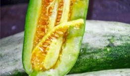 青田网红吃瓜,揭秘幕后故事与热门话题