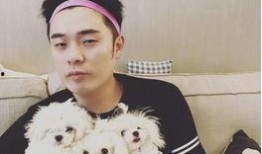 郑凯爆料陈赫喝酒视频,网友热议