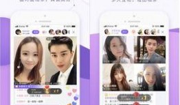 相亲爆料视频大全最新下载,揭秘真实相亲现场，最新下载尽在其中