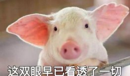 养猪导演爆料视频播放,视频播放背后的惊人真相